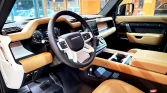 Defender SE (15) copy