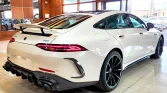 GT 53 AMG (7) copy